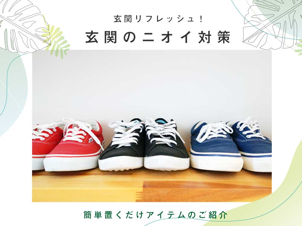 1372円 【限定製作】 OPTERA 除湿 消臭 乾燥 繰返し ファッション 靴 カビ 電子レンジ