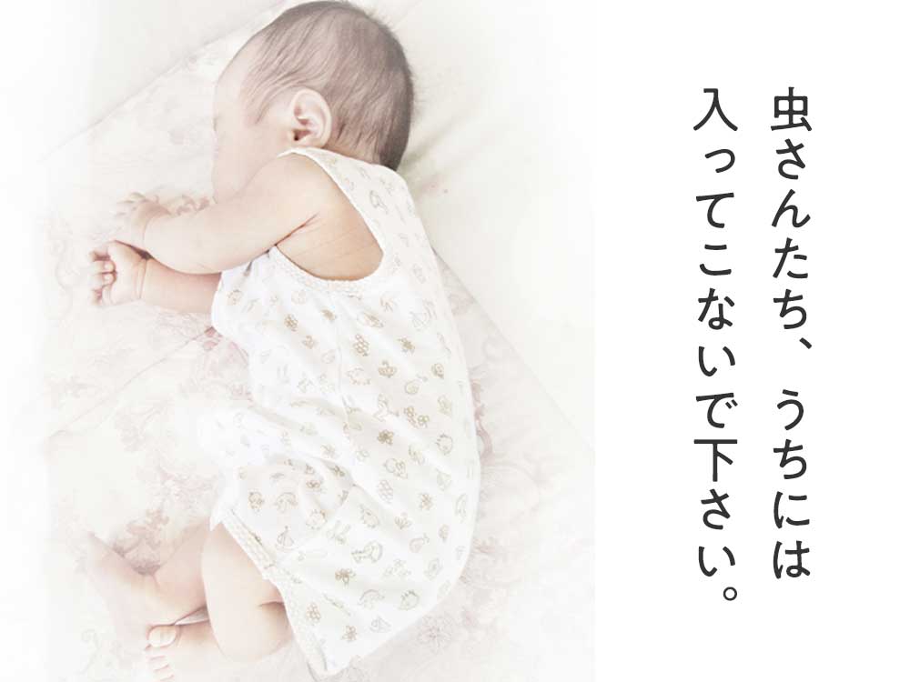 家の虫対策 虫が出やすい家の特徴とは 家や家の周りの虫対策とおすすめ対策グッズをご紹介 ダニよけシリカのウッディラボ 読み物