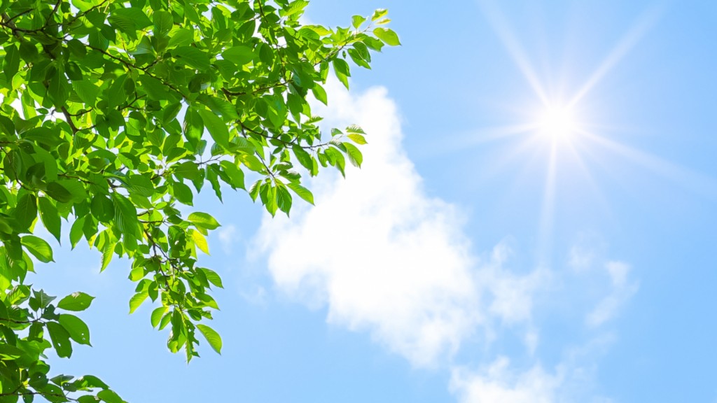 2025年の夏至はいつ？ 一年でいちばん昼の時間が長い日【夏至】の  