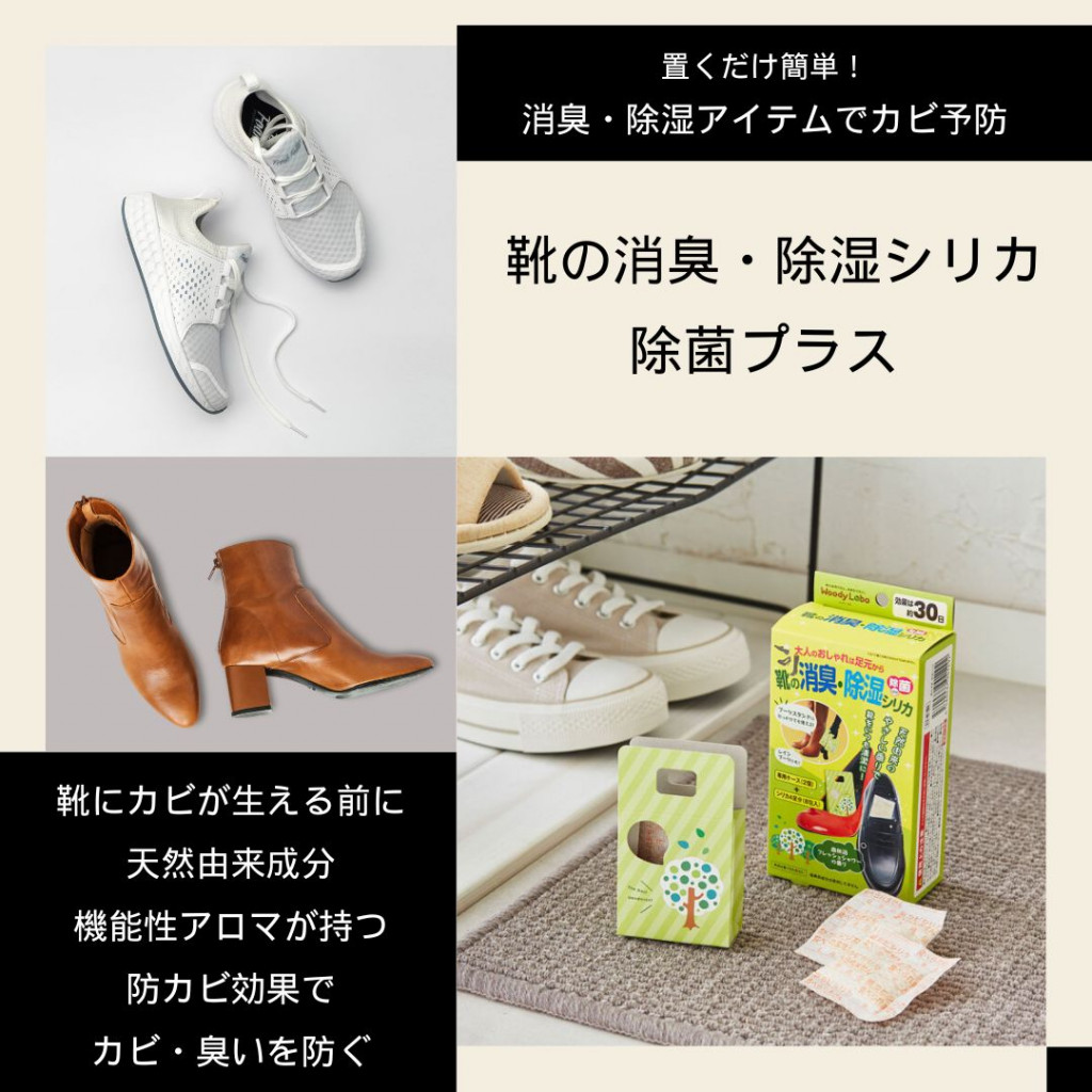 靴 カビ ショップ 拭き取り