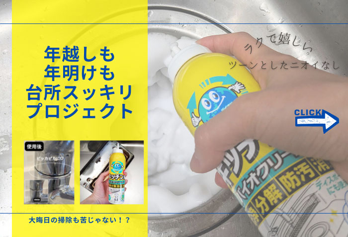 バイオサイクル/キッチン用 濃密泡タイプ