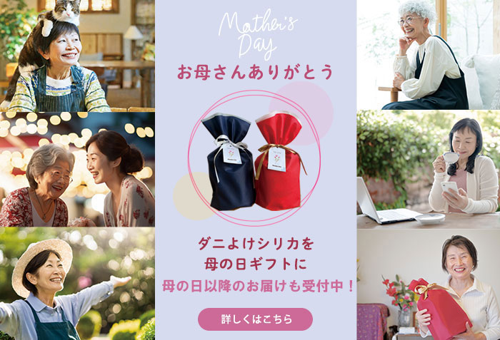 母の日ギフト