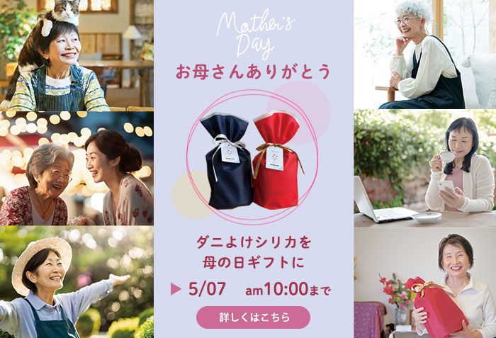 母の日ギフト