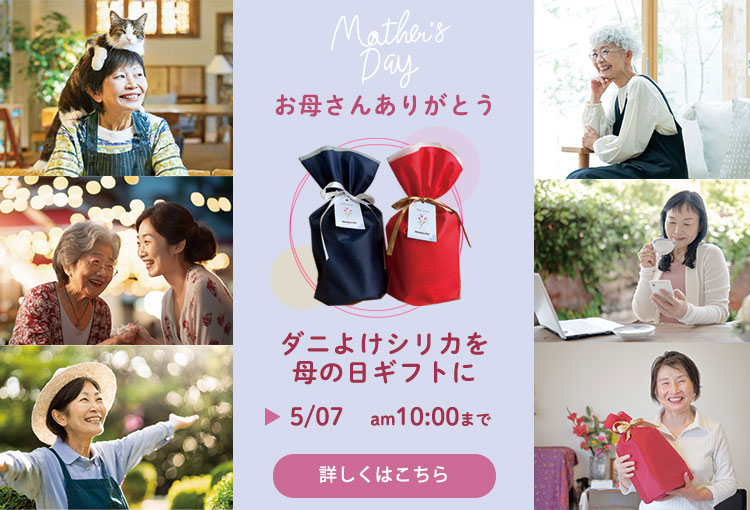 母の日ギフト