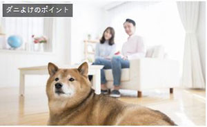 blog_210304_3
