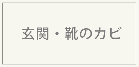 靴のカビ対策