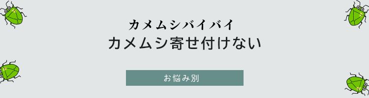 カメムシの悩み