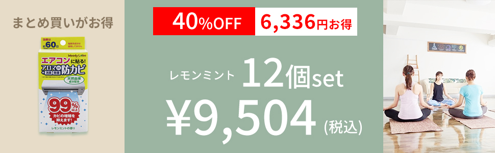 エアコン用アロマDE防カビ(レモンミントの香り)12個セット