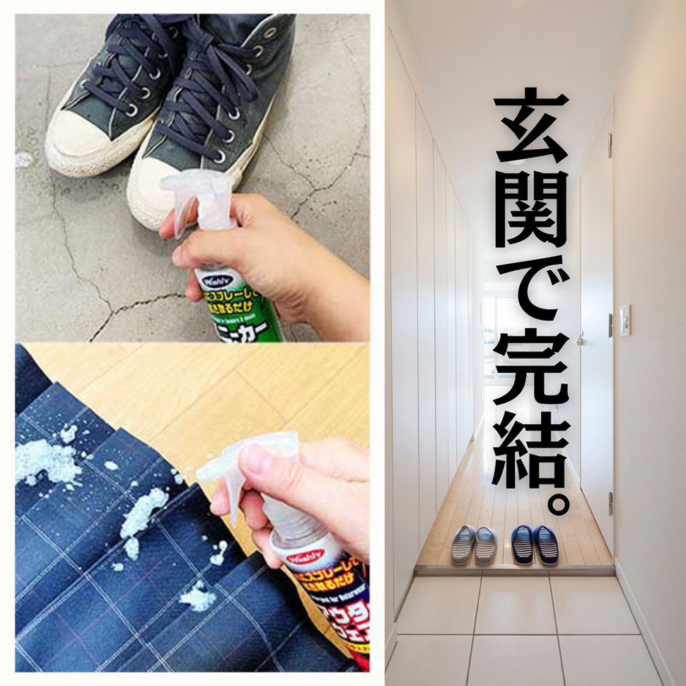 WASHLY/２種類お試しセット